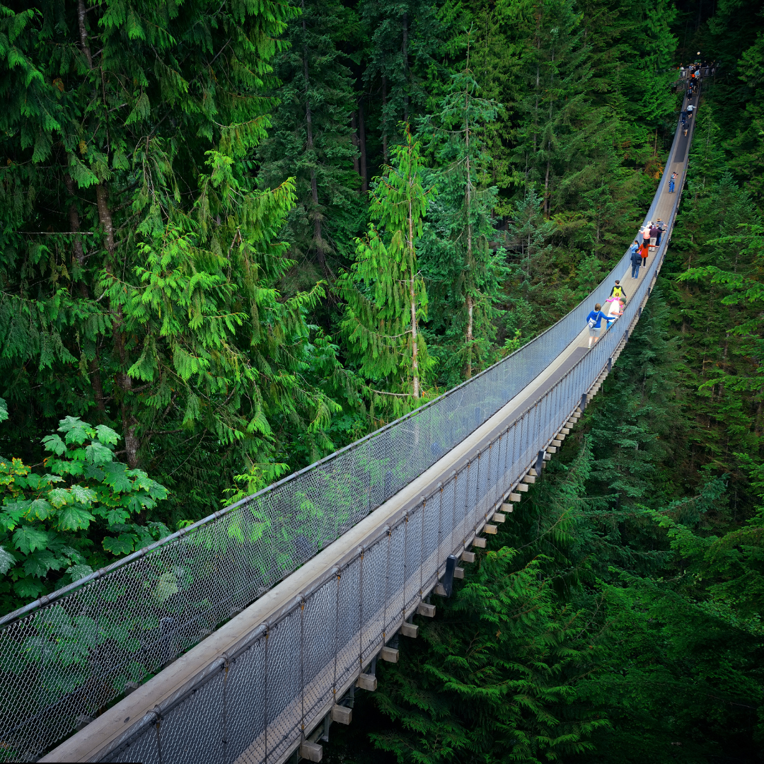 Capilano Suspension Bridge in North Vancouver – home cleaning services by Pink Maids